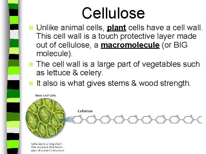 Lect 2 Biomolecules Other organic compounds Other organic