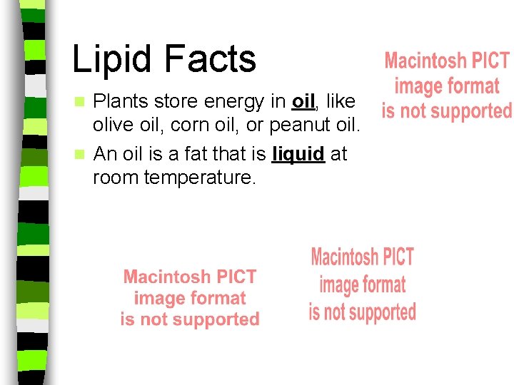 Lipid Facts Plants store energy in oil, like olive oil, corn oil, or peanut