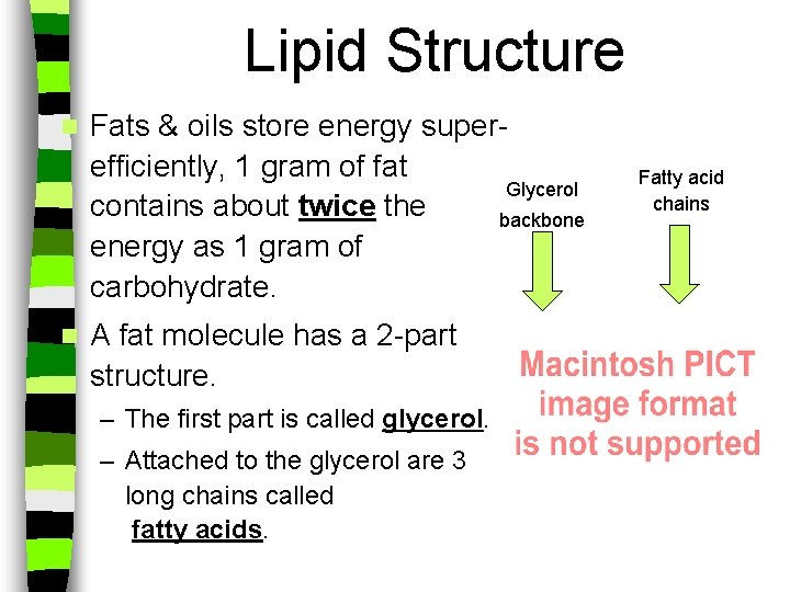 Lipid Structure n n Fats & oils store energy superefficiently, 1 gram of fat