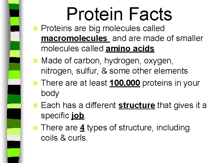 Protein Facts n n n Proteins are big molecules called macromolecules and are made