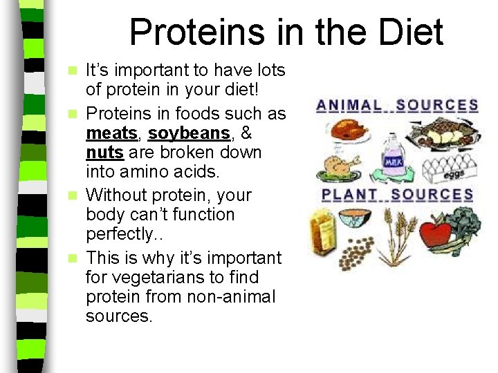 Proteins in the Diet It’s important to have lots of protein in your diet!