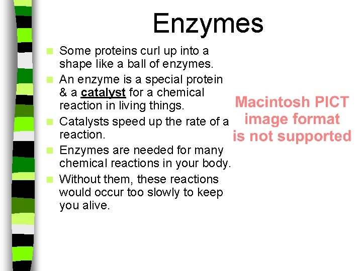 Enzymes n n n Some proteins curl up into a shape like a ball