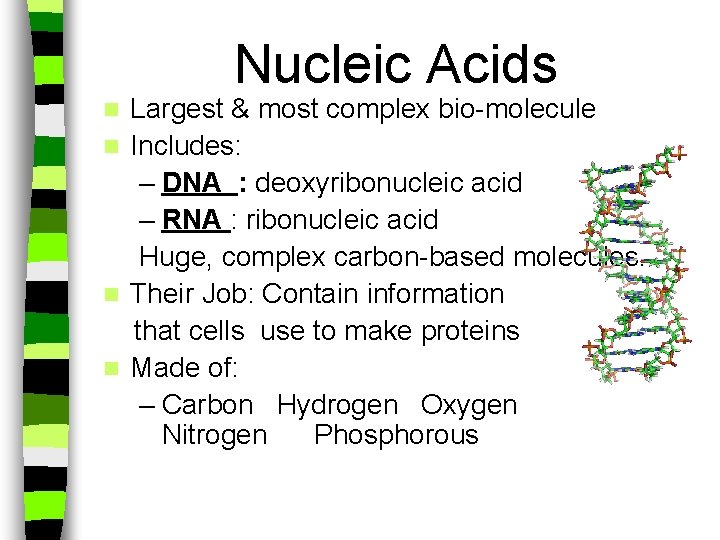 Nucleic Acids Largest & most complex bio-molecule n Includes: – DNA : deoxyribonucleic acid