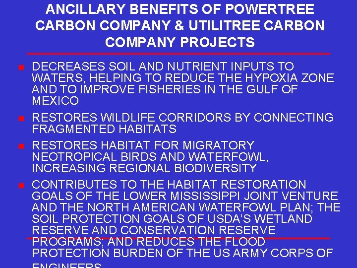 ANCILLARY BENEFITS OF POWERTREE CARBON COMPANY & UTILITREE CARBON COMPANY PROJECTS n n DECREASES