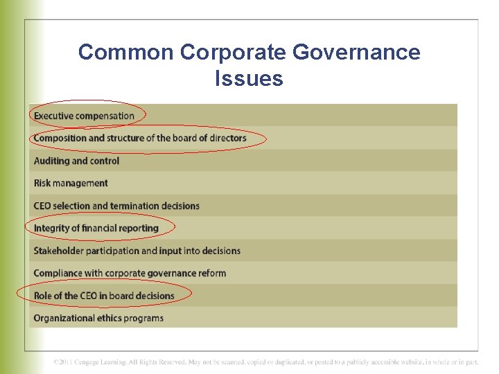 Common Corporate Governance Issues 