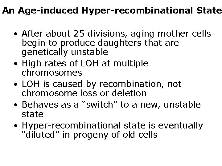 An Age-induced Hyper-recombinational State • After about 25 divisions, aging mother cells begin to