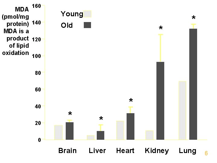 160 MDA (pmol/mg protein) 140 MDA is a product 120 of lipid oxidation Young