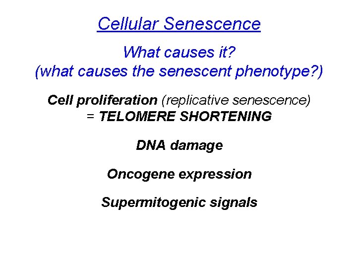Cellular Senescence What causes it? (what causes the senescent phenotype? ) Cell proliferation (replicative