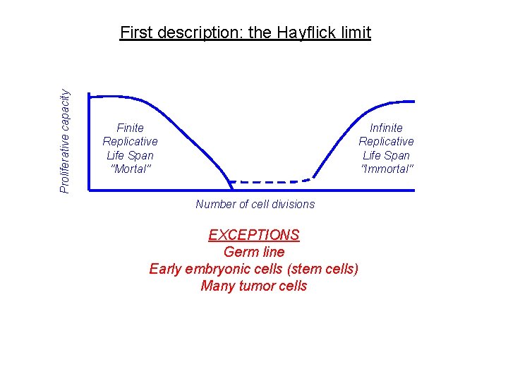 Proliferative capacity First description: the Hayflick limit Finite Replicative Life Span "Mortal" Infinite Replicative