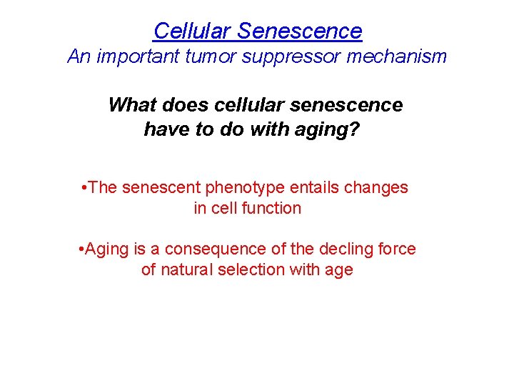 Cellular Senescence An important tumor suppressor mechanism What does cellular senescence have to do