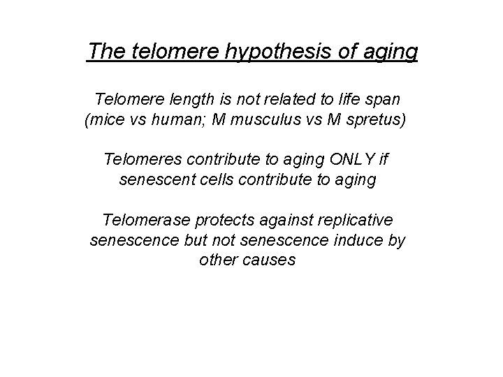 The telomere hypothesis of aging Telomere length is not related to life span (mice