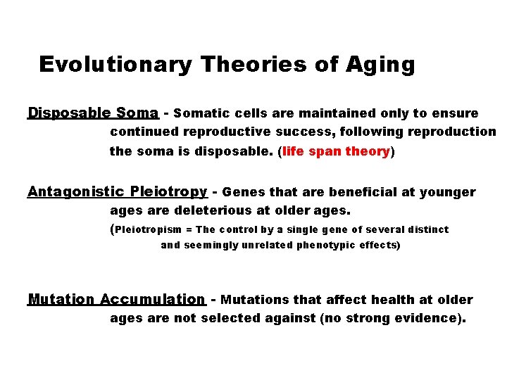 Evolutionary Theories of Aging Disposable Soma - Somatic cells are maintained only to ensure