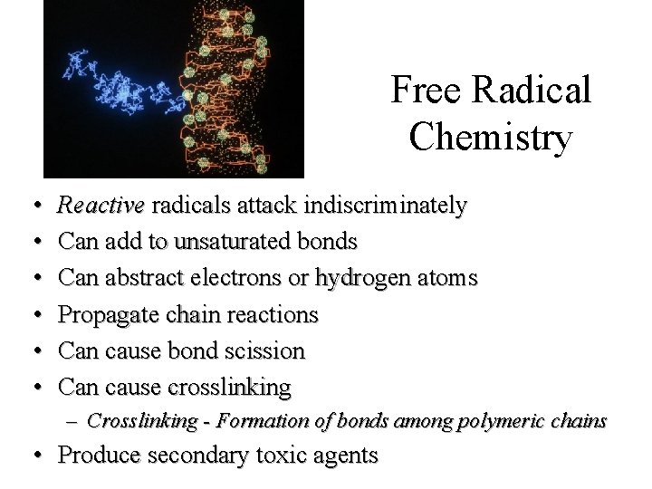 Free Radical Chemistry • • • Reactive radicals attack indiscriminately Can add to unsaturated