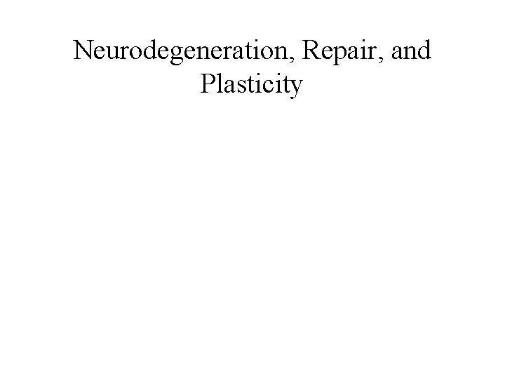 Neurodegeneration, Repair, and Plasticity 