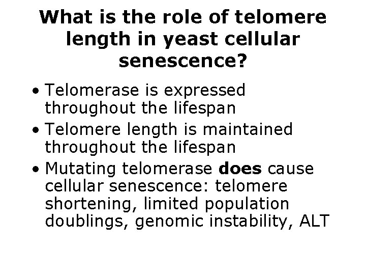 What is the role of telomere length in yeast cellular senescence? • Telomerase is