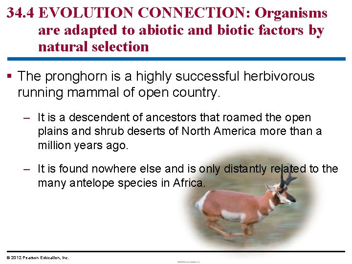 34. 4 EVOLUTION CONNECTION: Organisms are adapted to abiotic and biotic factors by natural