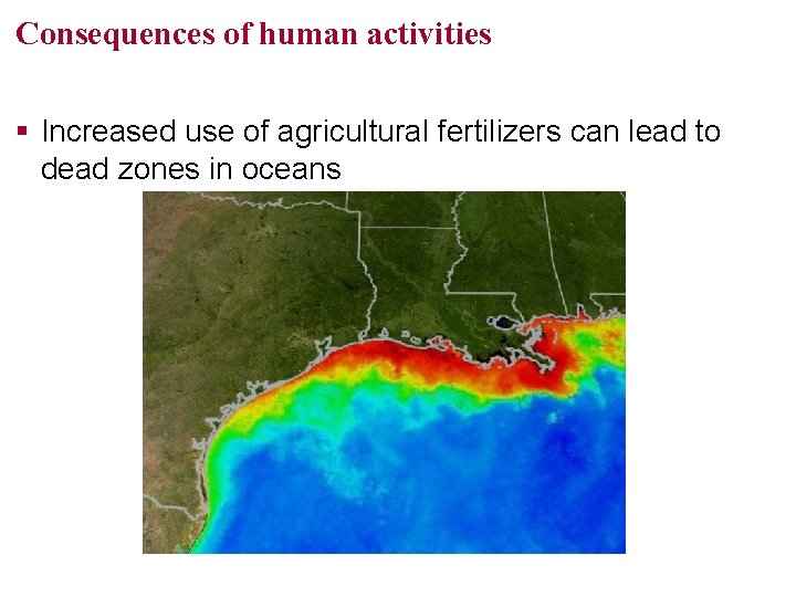 Consequences of human activities § Increased use of agricultural fertilizers can lead to dead