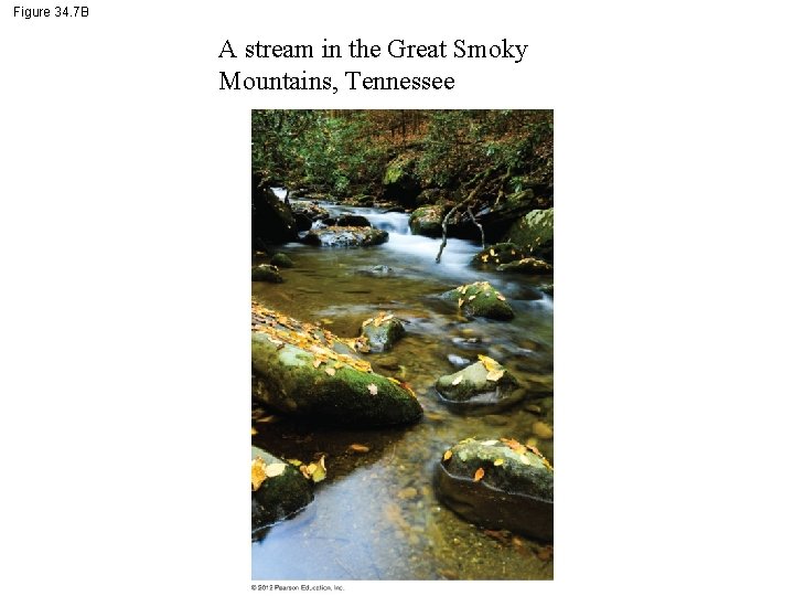 Figure 34. 7 B A stream in the Great Smoky Mountains, Tennessee 