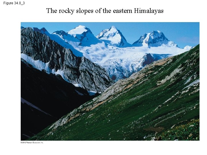 Figure 34. 0_3 The rocky slopes of the eastern Himalayas 