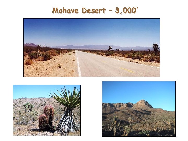 Mohave Desert – 3, 000’ 