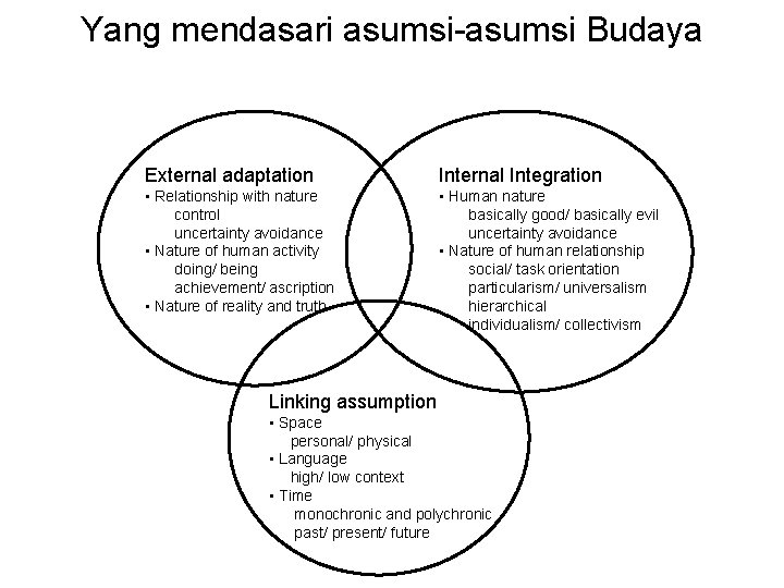 Yang mendasari asumsi-asumsi Budaya External adaptation Internal Integration • Relationship with nature control uncertainty