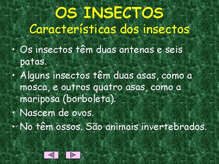 OS INSECTOS Características dos insectos • Os insectos têm duas antenas e seis patas.