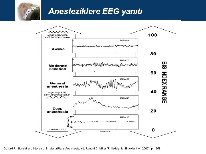 Anesteziklere EEG yanıtı Donald R. Stanski and Steven L. Shafer, Miller’s Anesthesia, ed. Ronald