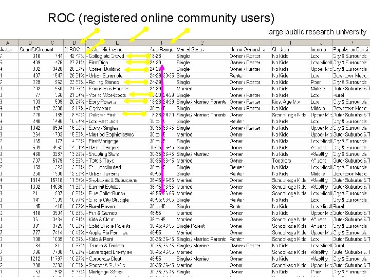 ROC (registered online community users) large public research university 
