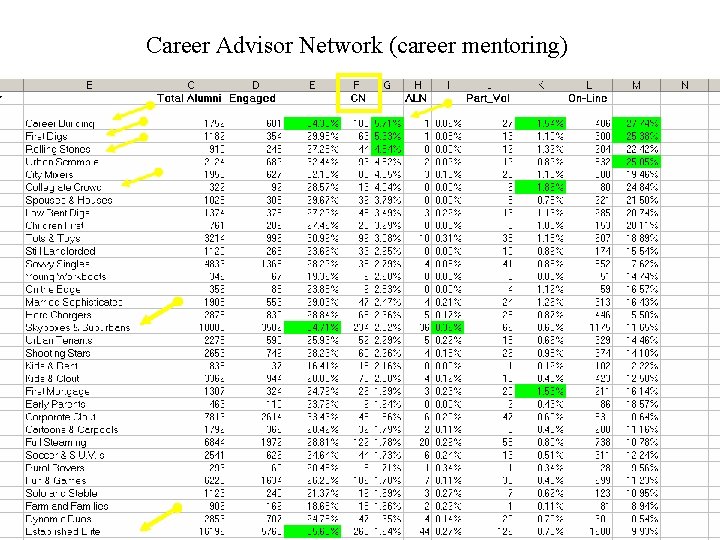 Career Advisor Network (career mentoring) 