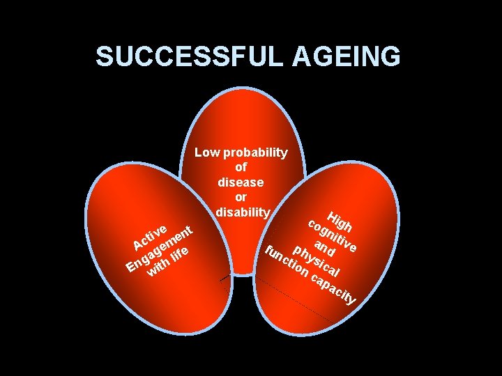 SUCCESSFUL AGEING Low probability of disease or disability ve ent i t Ac gem