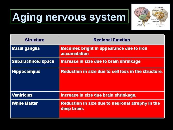 Aging nervous system Structure Regional function Basal ganglia Becomes bright in appearance due to