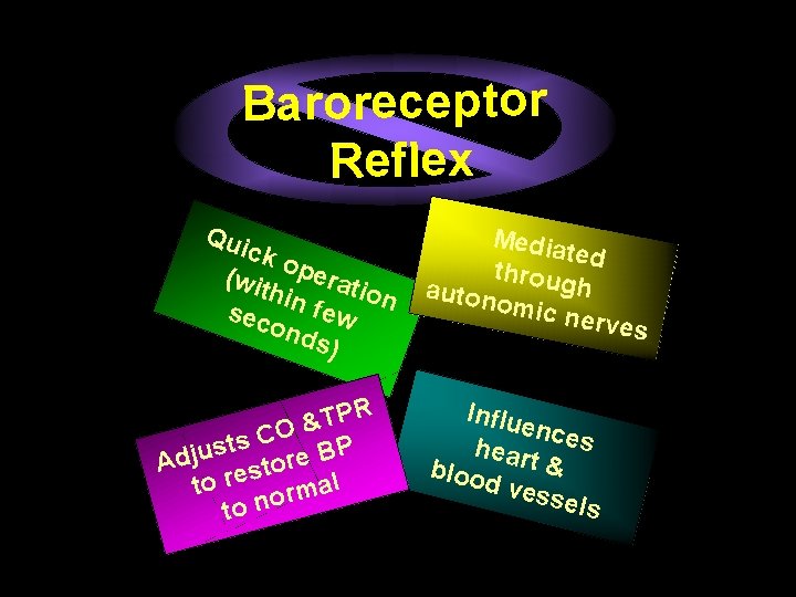 Baroreceptor Reflex Qui ck o (wit perat ion hin few sec ond s) R