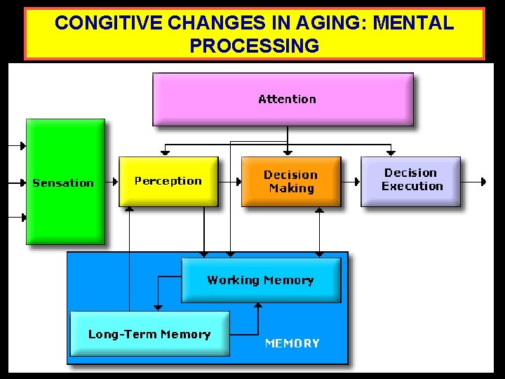 CONGITIVE CHANGES IN AGING: MENTAL PROCESSING 