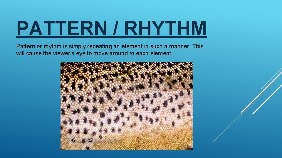 PATTERN / RHYTHM Pattern or rhythm is simply repeating an element in such a