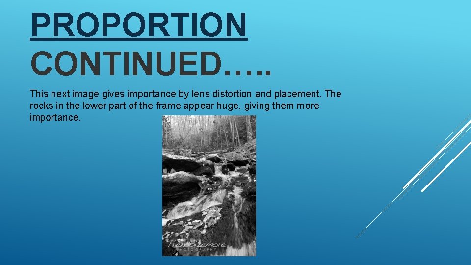 PROPORTION CONTINUED…. . This next image gives importance by lens distortion and placement. The