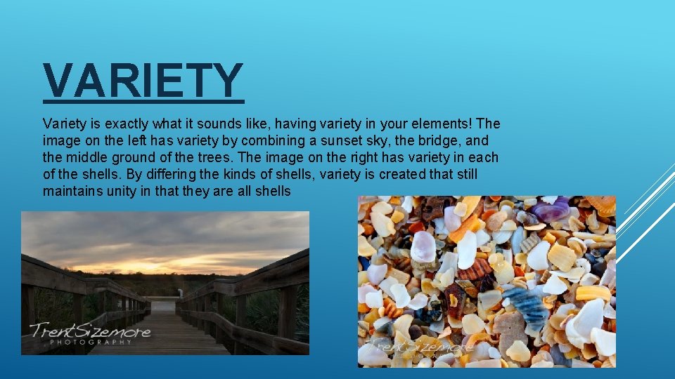 VARIETY Variety is exactly what it sounds like, having variety in your elements! The