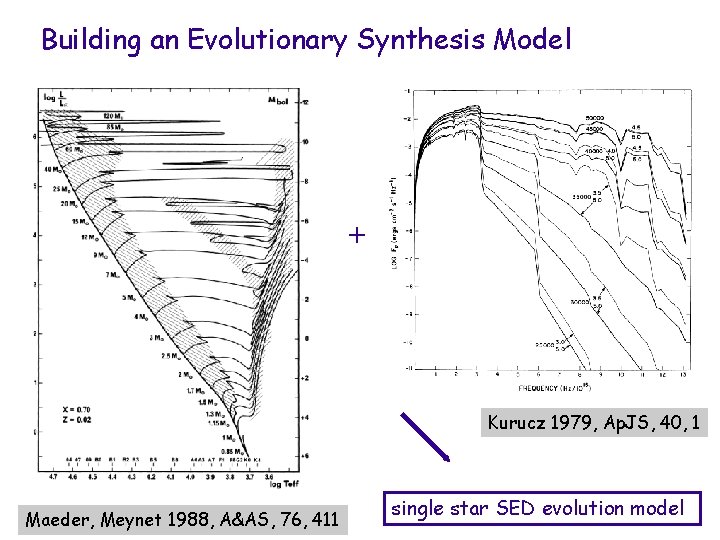 Building an Evolutionary Synthesis Model + Kurucz 1979, Ap. JS, 40, 1 Maeder, Meynet