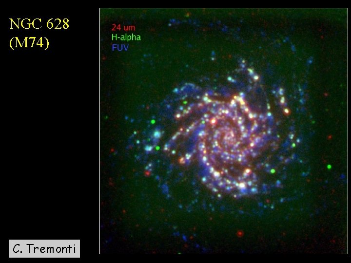 NGC 628 (M 74) C. Tremonti 