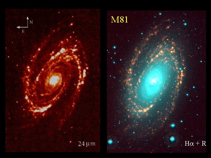 M 81 H + R 