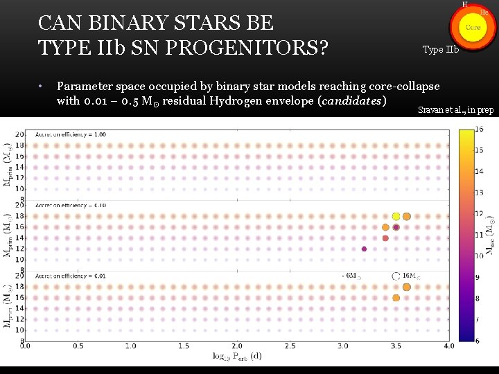 CAN BINARY STARS BE TYPE IIb SN PROGENITORS? • Type IIb Parameter space occupied