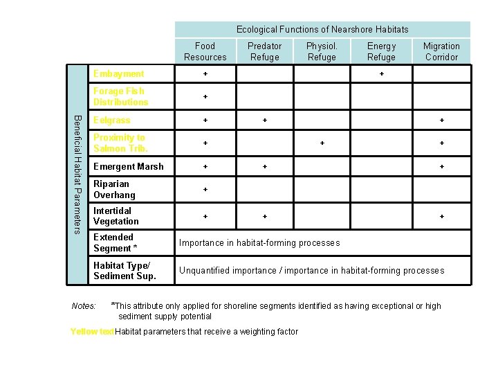 Ecological Functions of Nearshore Habitats Food Resources Beneficial Habitat Parameters Embayment + Forage Fish