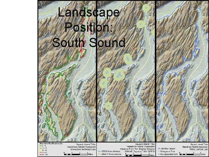 Landscape Position: South Sound 