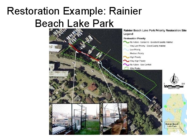 Restoration Example: Rainier Beach Lake Park 