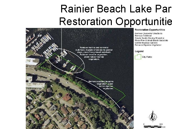 Rainier Beach Lake Park Restoration Opportunitie 