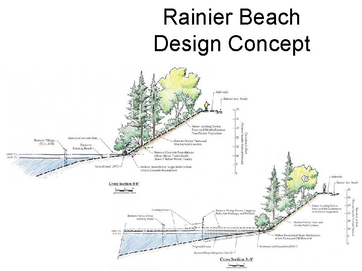 Rainier Beach Design Concept 