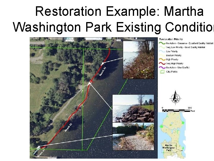 Restoration Example: Martha Washington Park Existing Condition 