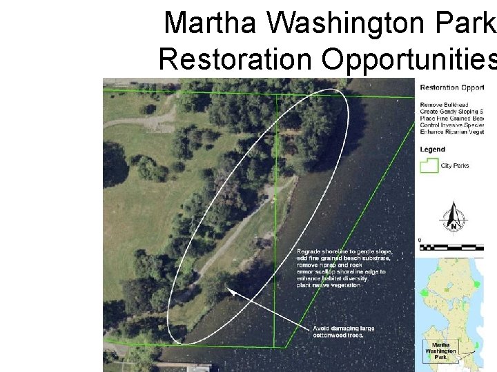 Martha Washington Park Restoration Opportunities 