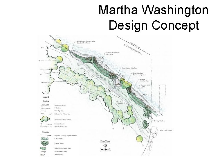 Martha Washington Design Concept 