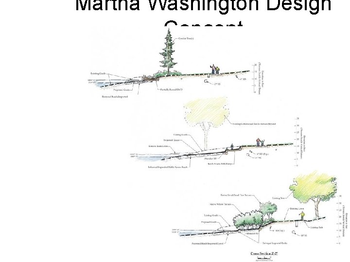 Martha Washington Design Concept 