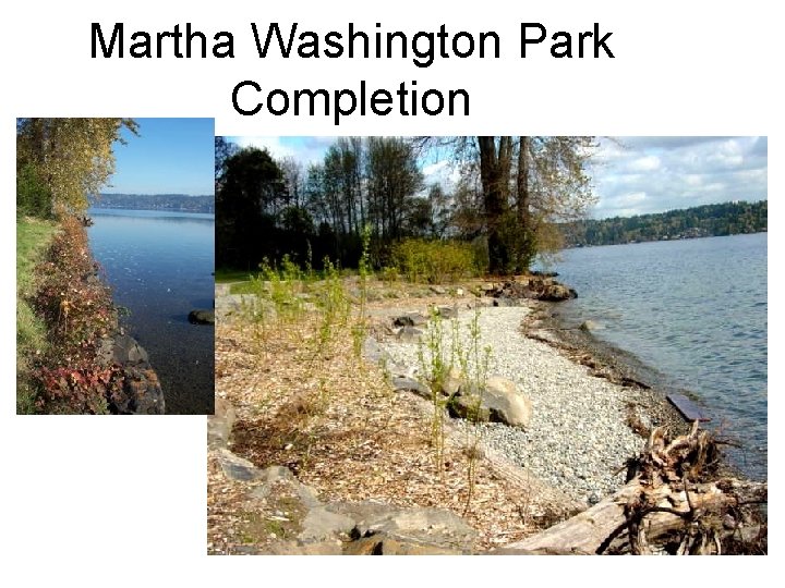 Martha Washington Park Completion 
